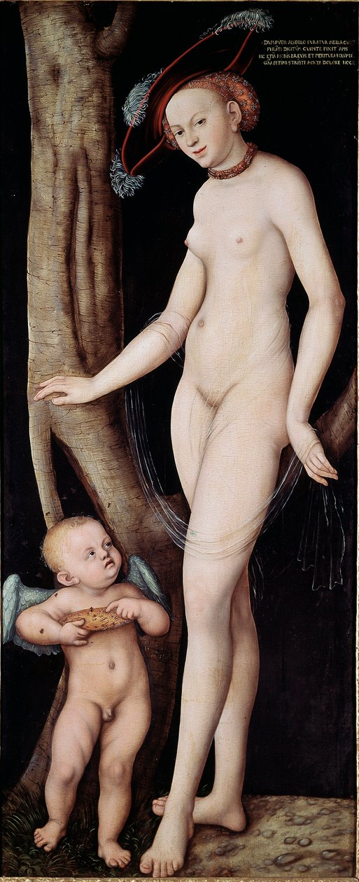 Lucas Cranach vanhemman maalaus Venus ja Cupid (Aphrodite ja Eros) (1472 - 1553) tekijältä Lucas the Elder Cranach