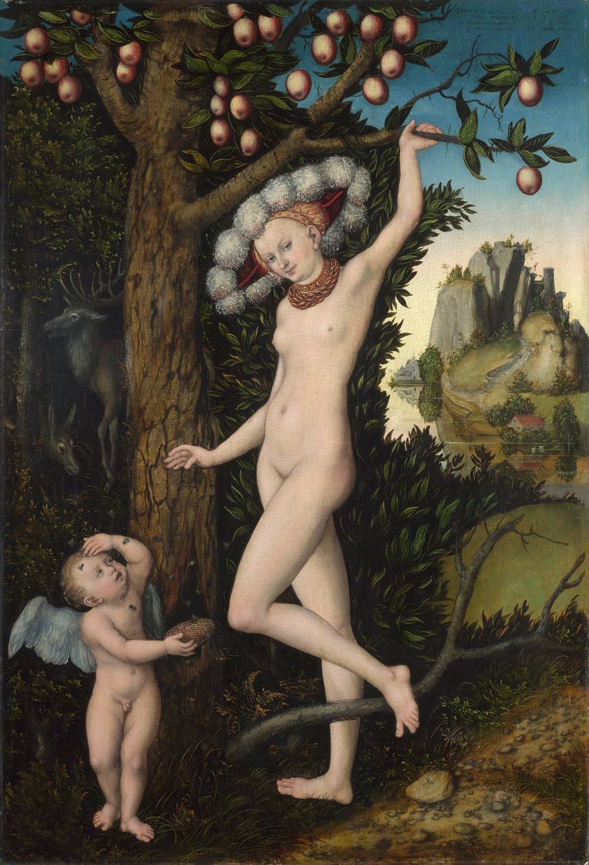 Venus ja Cupid, n. 1525 (öljy puulle) tekijältä Lucas the Elder Cranach