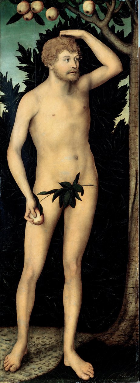 ""Adam"" Lucas Cranach II nuoremman maalaus (1515-1586) Vuoden 1537 jälkeen, koko 171 x 63 cm Saksa Dresdenin valtion taidekokoelmat tekijältä Lucas the Younger Cranach