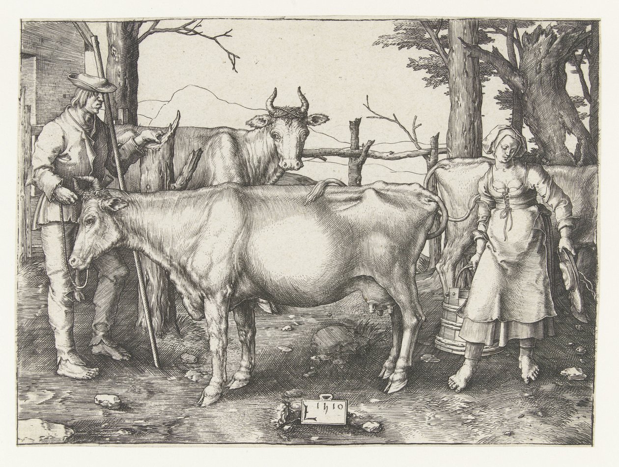 Maitotyttö tekijältä Lucas van Leyden