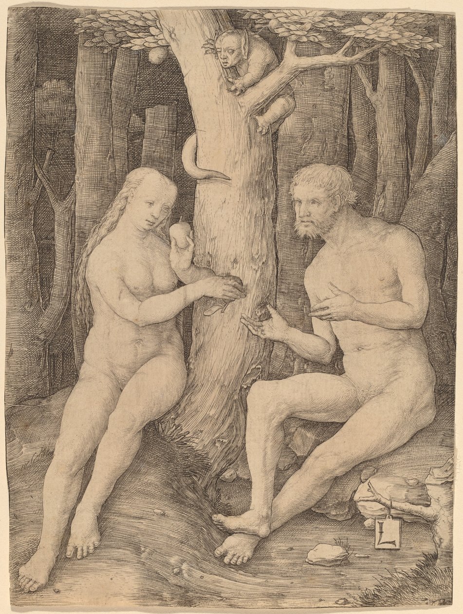 Ihmisen lankeemus tekijältä Lucas van Leyden