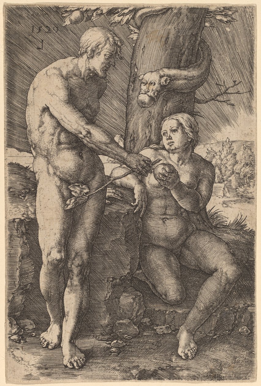 Ihmisen lankeemus tekijältä Lucas van Leyden
