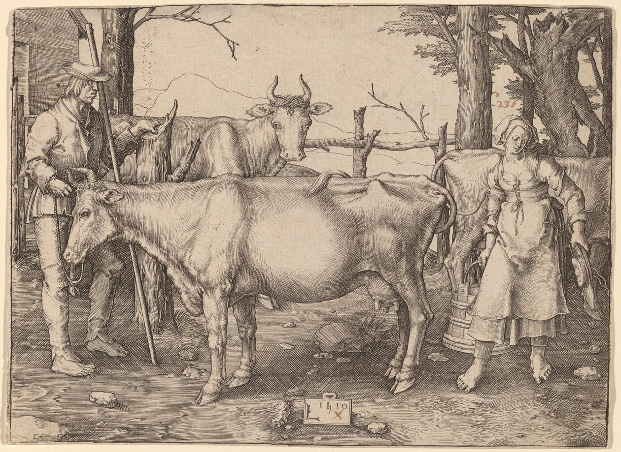Maitotyttö tekijältä Lucas van Leyden
