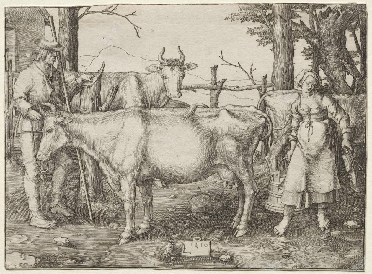 Maitotyttö tekijältä Lucas van Leyden