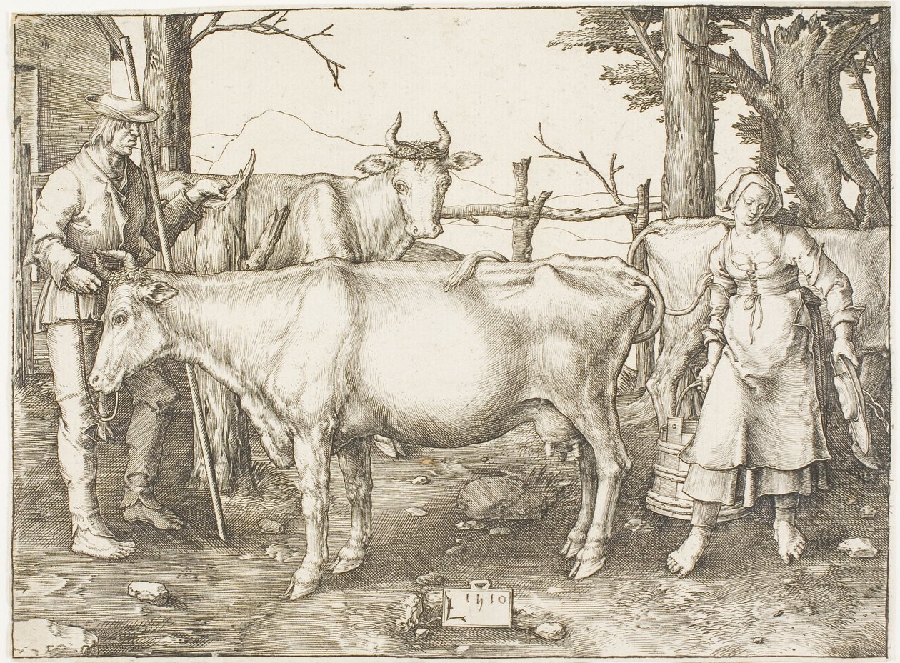 Maitotyttö tekijältä Lucas van Leyden