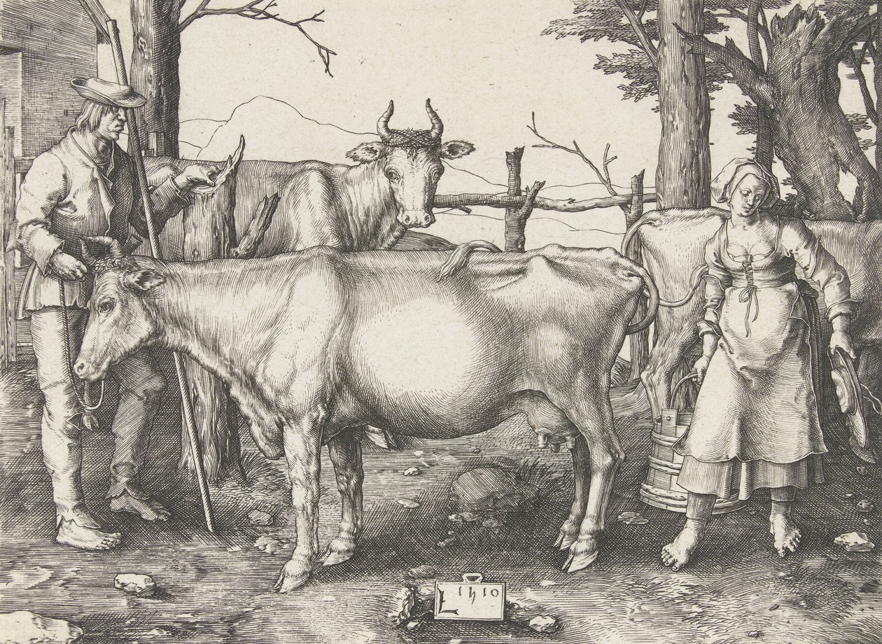Maitotyttö tekijältä Lucas van Leyden