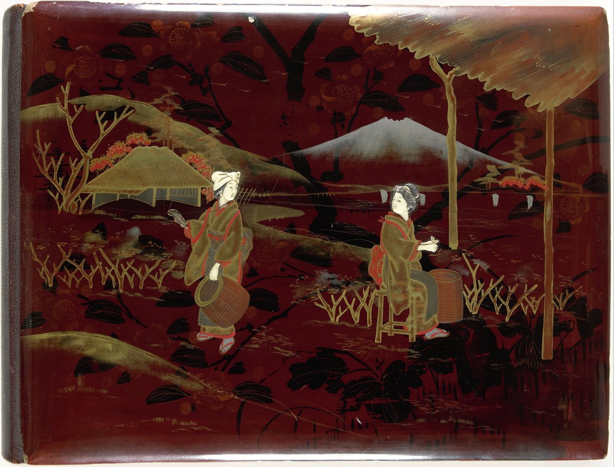 Lucie Sandelin valokuva-albumi, noin 1903-1907 tekijältä Lucie Sandel