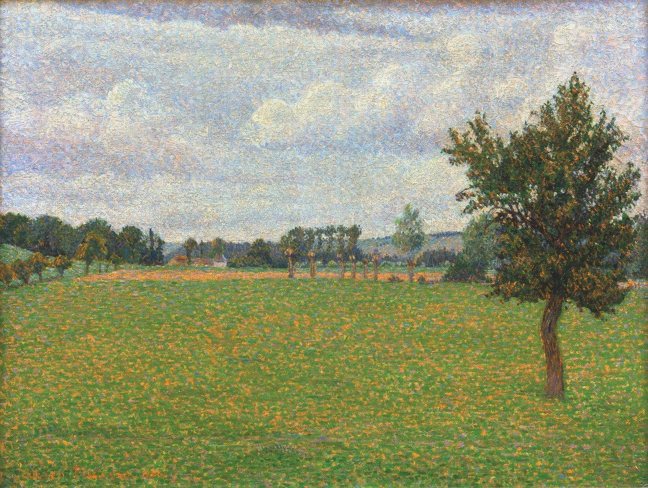 La Prairie de Tierceville tekijältä Lucien Pissarro