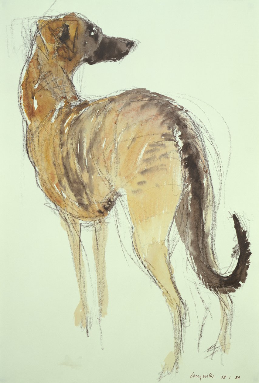 Lurcher seisomassa tekijältä Lucy Willis