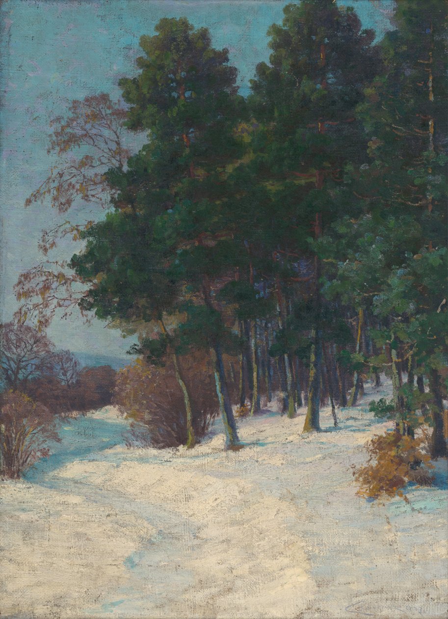 Metsä talvella tekijältä Ludovit Cordak