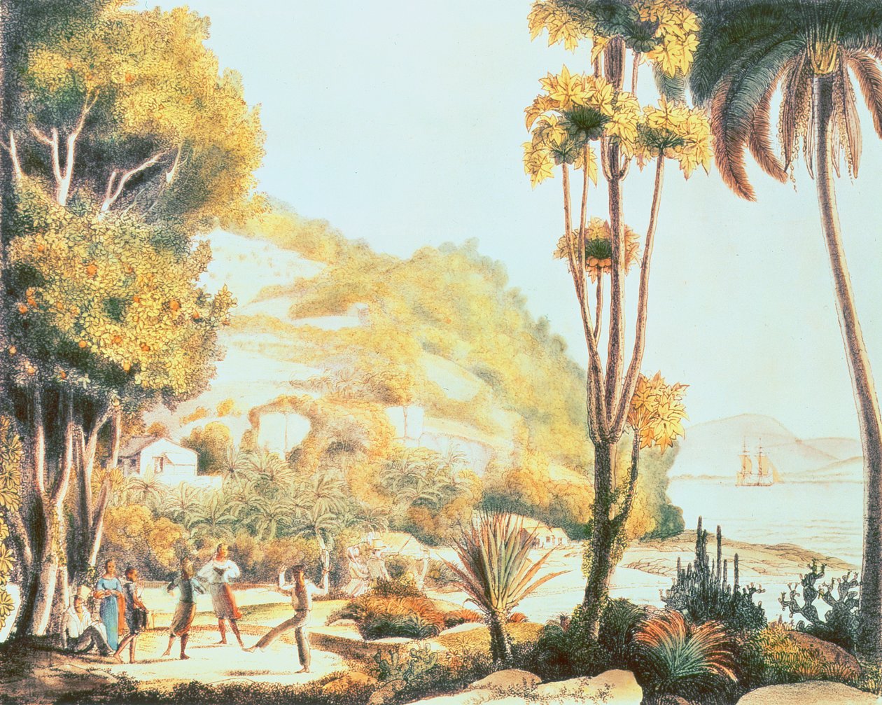Näkymä Brasilian rannikolle vastapäätä Santa Catarinan saarta, n. 1825 tekijältä Ludwig Choris