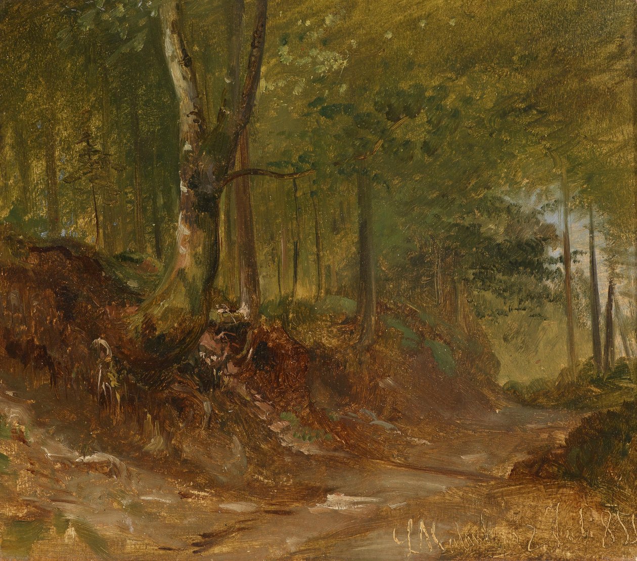 Ein Waldweg tekijältä Ludwig Halauska