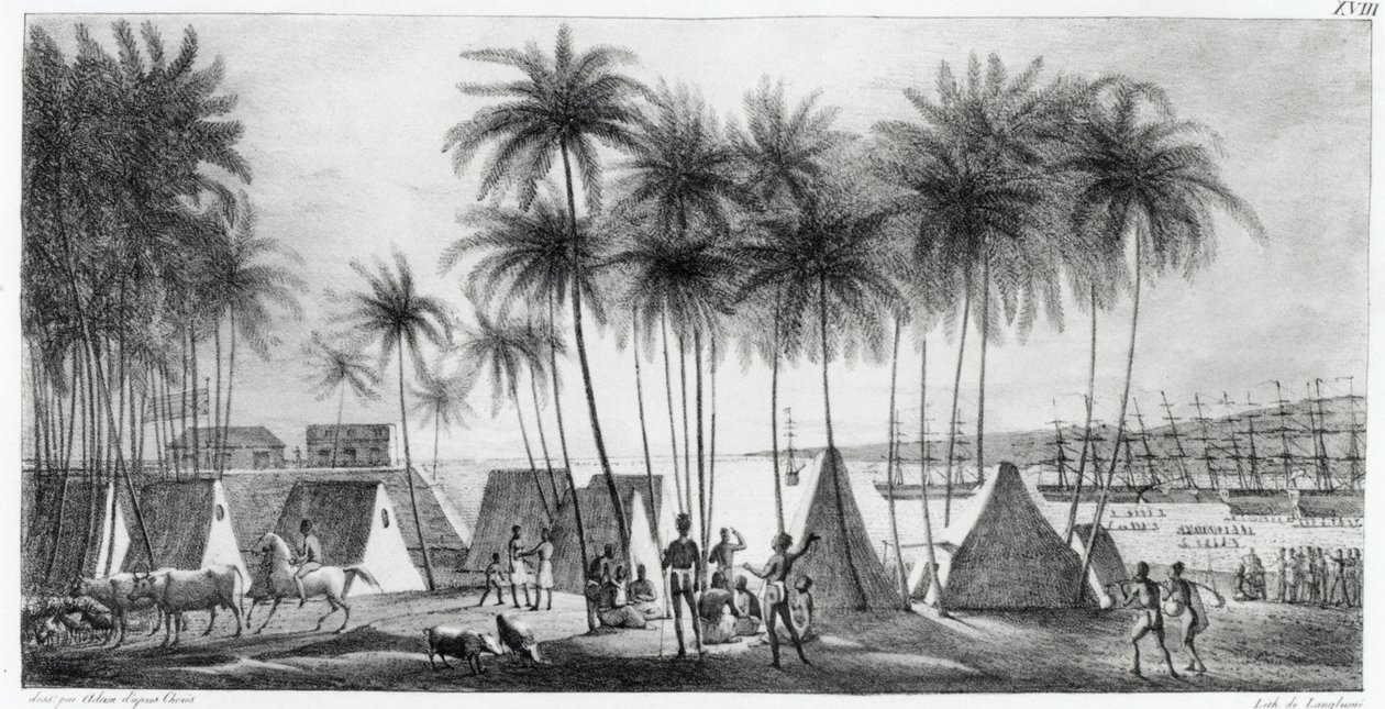 Hanarouroun satama Sandwichsaarilla, teoksesta Voyage Pittoresque around the World, kaiverrus G. Langlume (fl.1822-40) 1822 tekijältä Ludwig Choris