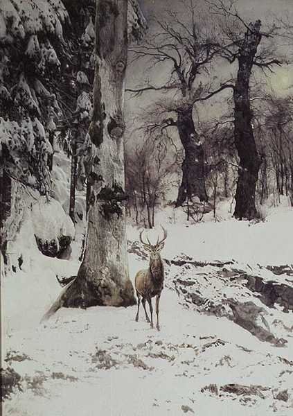 Hirvi lumisessa metsässä tekijältä Ludwig Fromme