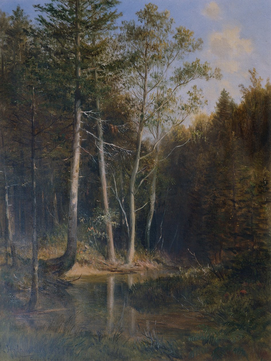 Metsäalue hovivuorella Kaumbergin lähellä tekijältä Ludwig Halauska