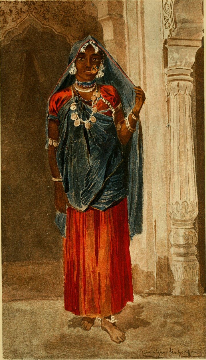 Wienin luonnonhistoriallisen museon vuosikirja (1890) (18013829859). tekijältä Ludwig Hans Fischer