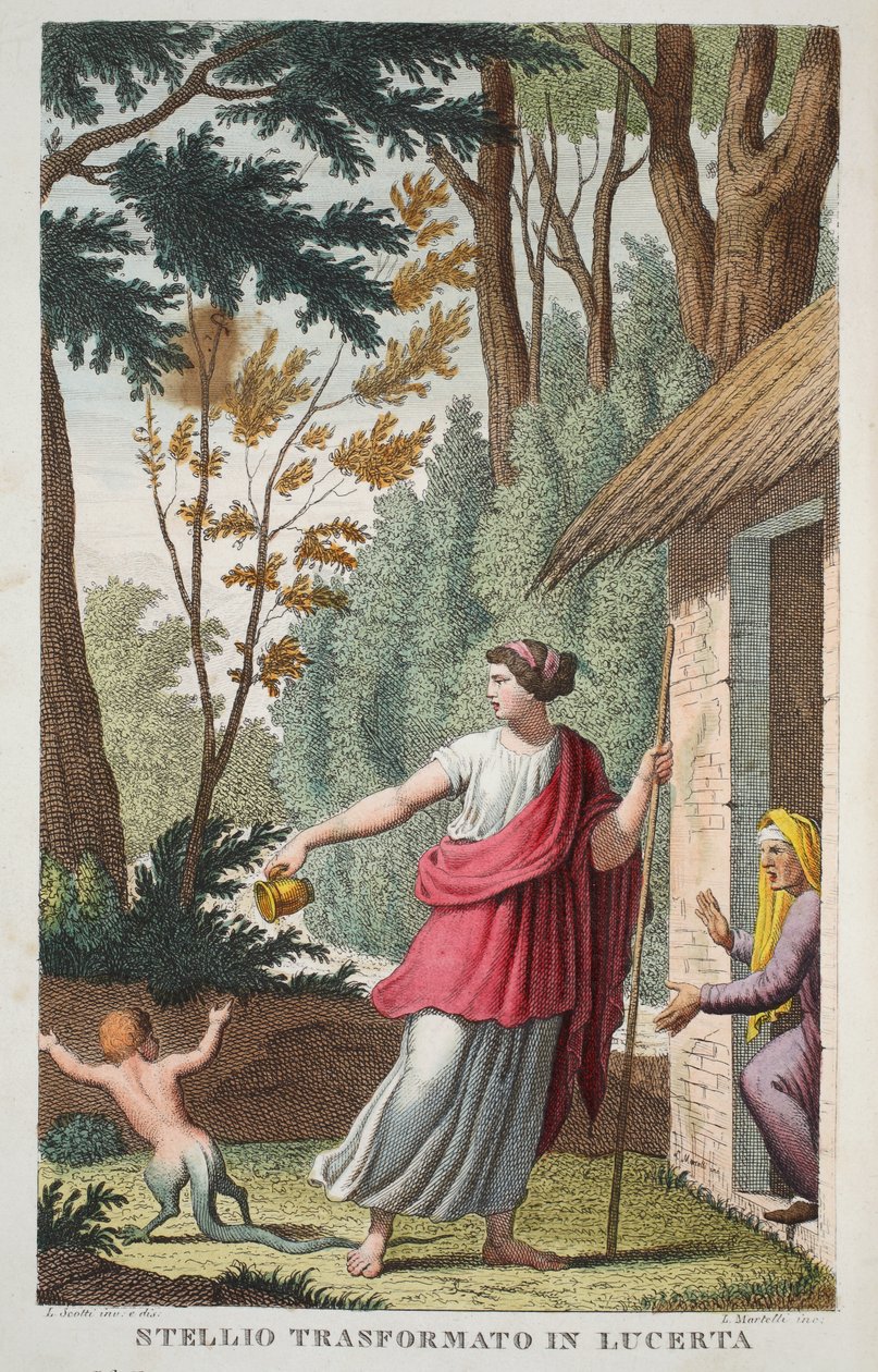 Poika liskoksi tai Ntellio Transformato in Lucerta, kirja V, kuvitus Ovidiuksen teoksesta Metamorphoses, Firenze, 1832 (käsin väritetty kaiverrus). tekijältä Luigi Ademollo