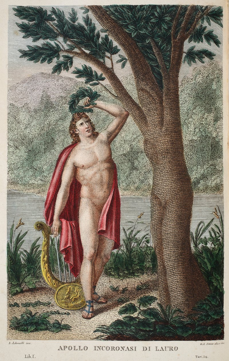 Daphne laakeripuuksi tai Apollo Incoronasi de Lauro, kuvitus Ovidian Metamorphosesista, Firenze, 1832 (käsinvärinen kaiverrus) tekijältä Luigi Ademollo