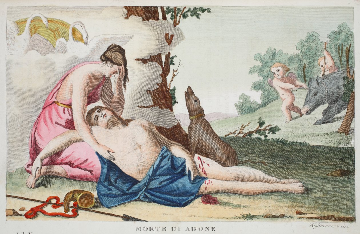 Adonisin tai Morte di Adonen kuolema, Kirja X, kuvitus Ovidian Metamorphosesista, Firenze, 1832 (käsinvärinen kaiverrus) tekijältä Luigi Ademollo