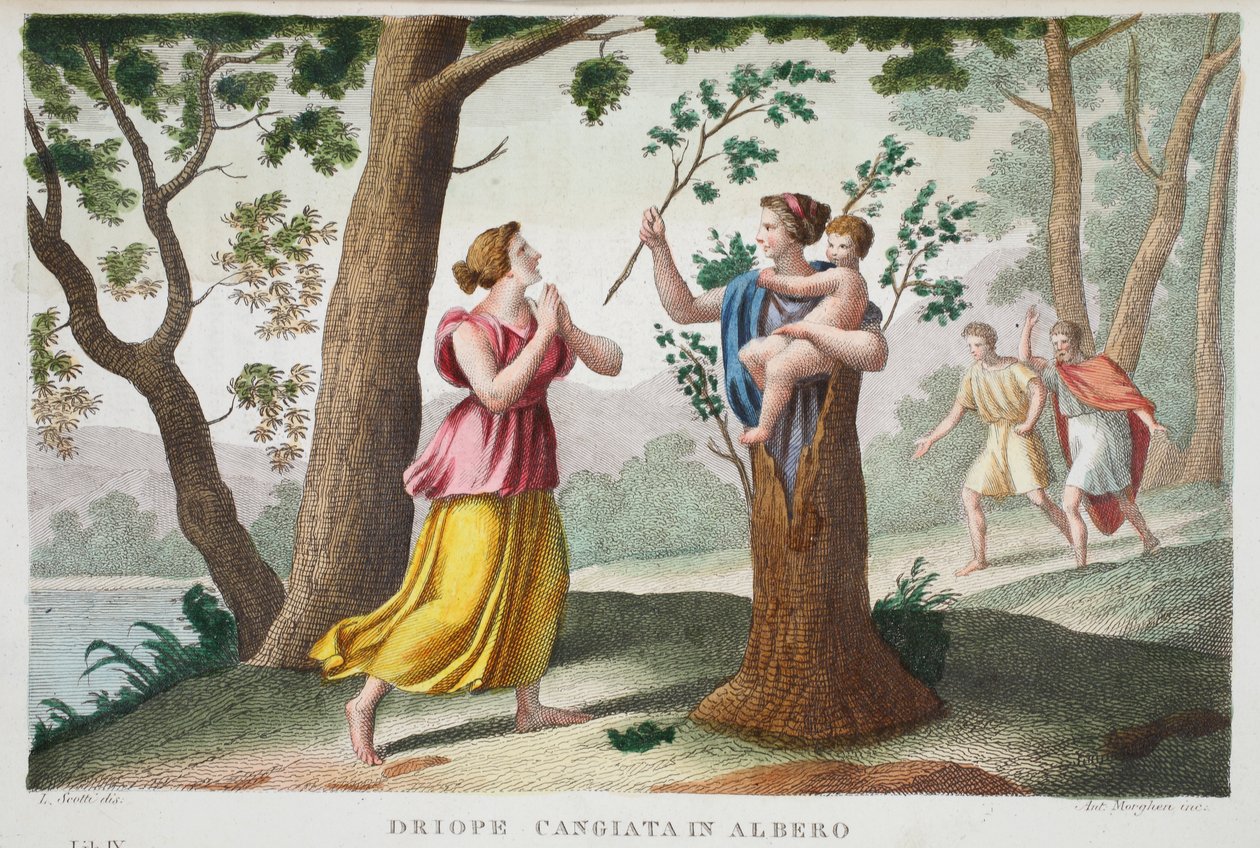 Dryope in the tree tai Driope cangiata in albero, Book IX, kuvitus Ovidian Metamorphosesista, Firenze, 1832 (käsinvärinen kaiverrus) tekijältä Luigi Ademollo