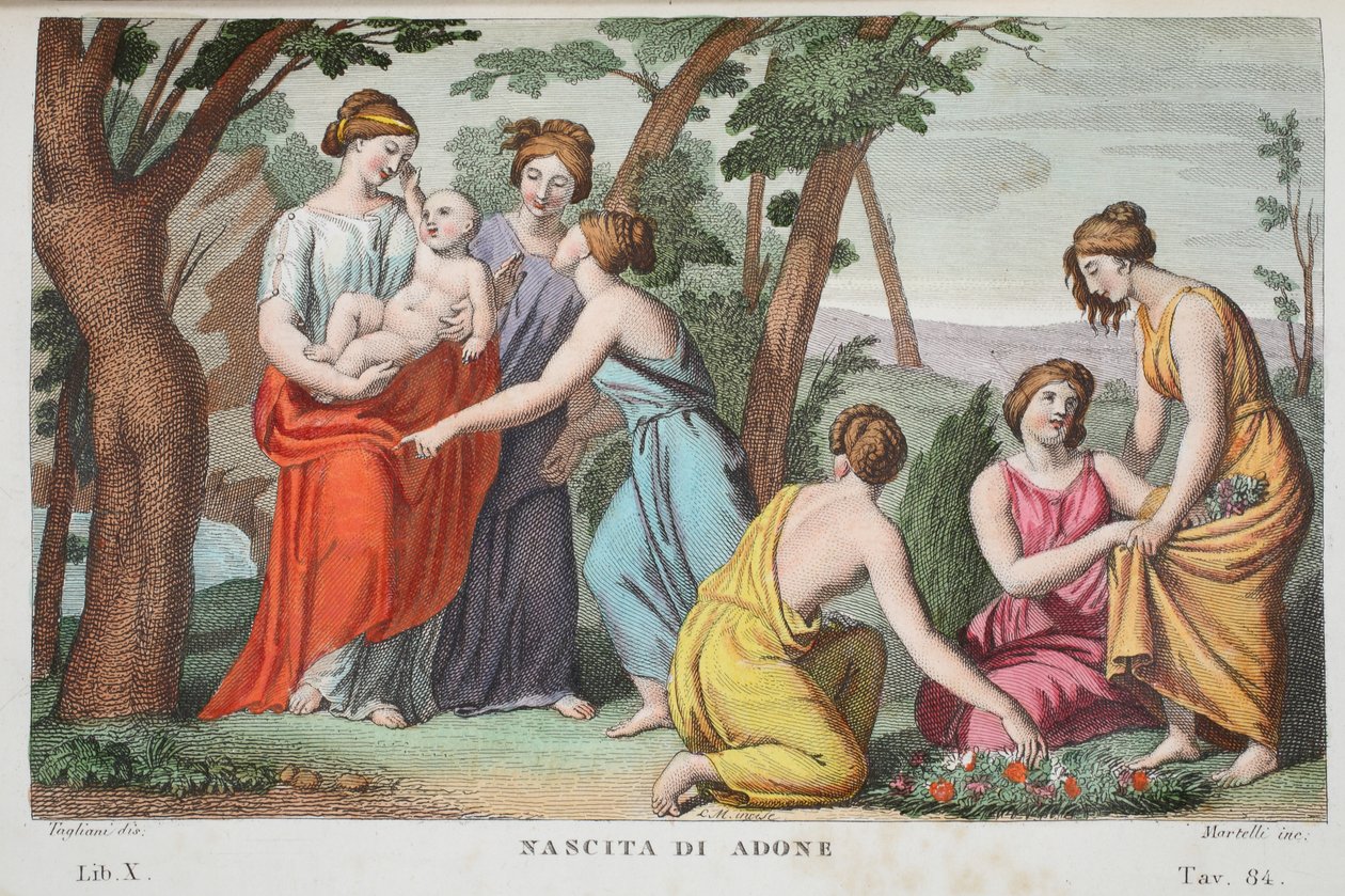 Adonisin tai Nascita di Adonen syntymä, kirja X, kuvitus Ovidian Metamorphosesista, Firenze, 1832 (käsinvärinen kaiverrus) tekijältä Luigi Ademollo