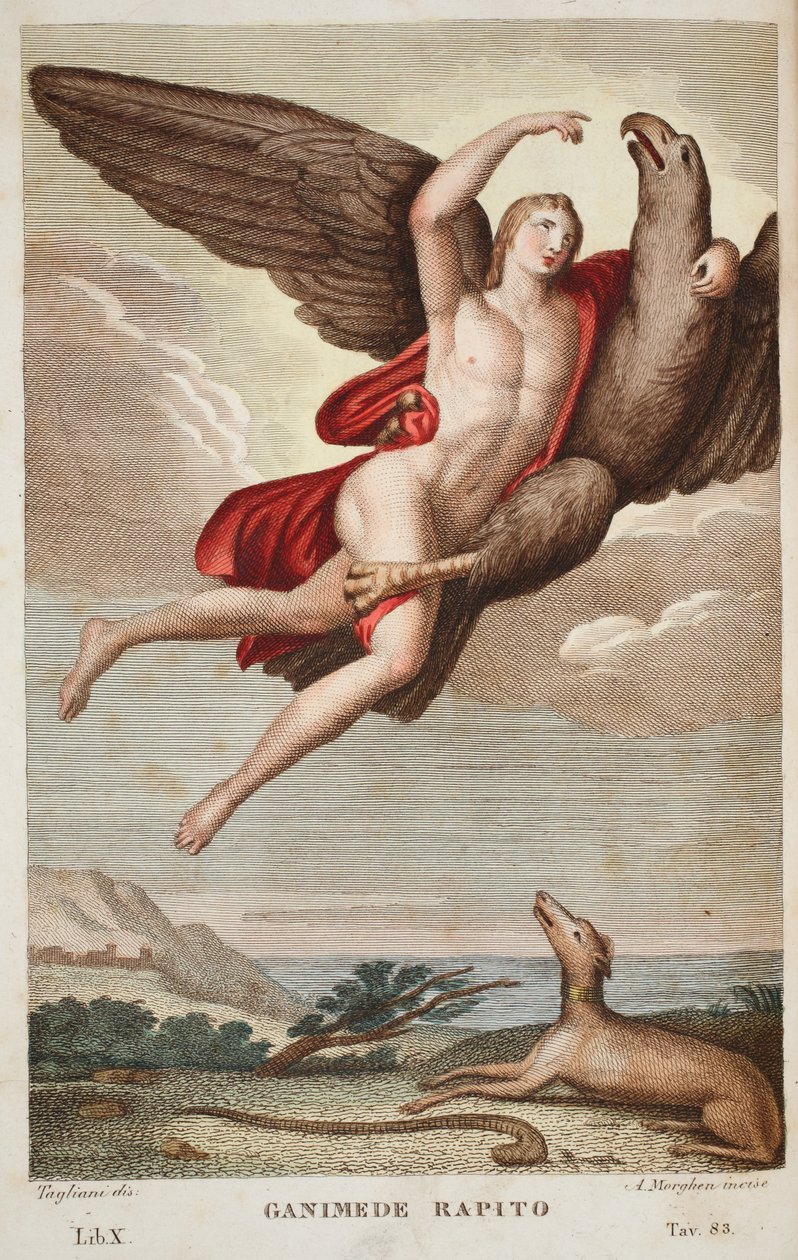 Taivaaseen viety Ganymede tai Ganimede Rapito, kirja X, kuvitus Ovidiuksen teoksesta Metamorphoses, Firenze, 1832 (käsin väritetty kaiverrus). tekijältä Luigi Ademollo