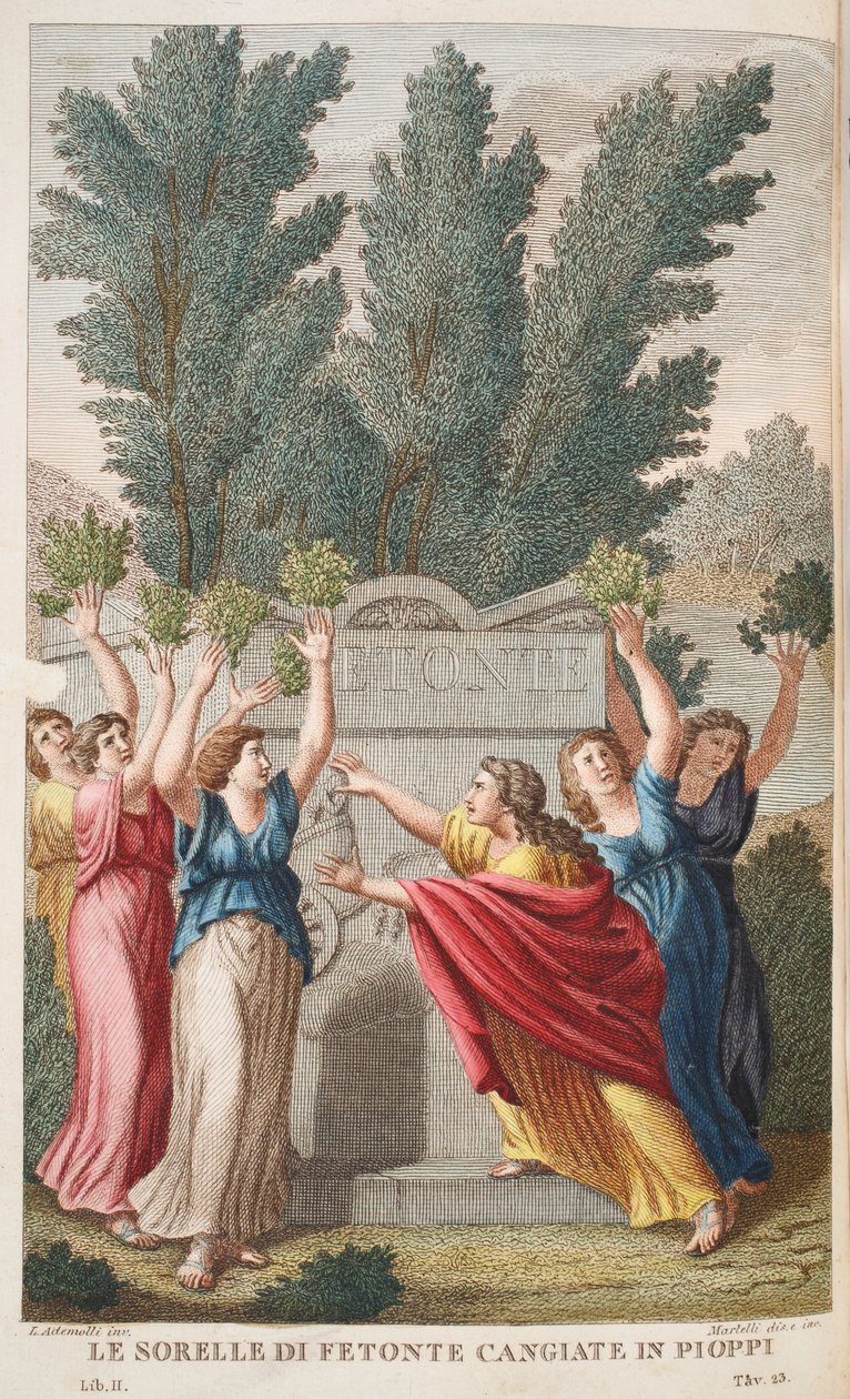 Heliades puihin, jotka tuottavat meripihkaa tai Le Sorelle di Fetonte Cangiante Piopissa, kuva Ovidiuksen Metamorphosesista, Firenze, 1832 (käsinvärinen kaiverrus) tekijältä Luigi Ademollo