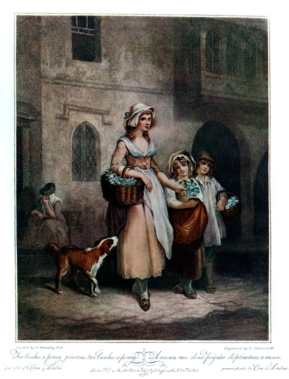Kaksi kimppua penniä primroosia, kaksi kimppua penniä, 1793, 1910 tekijältä Luigi Schiavonetti