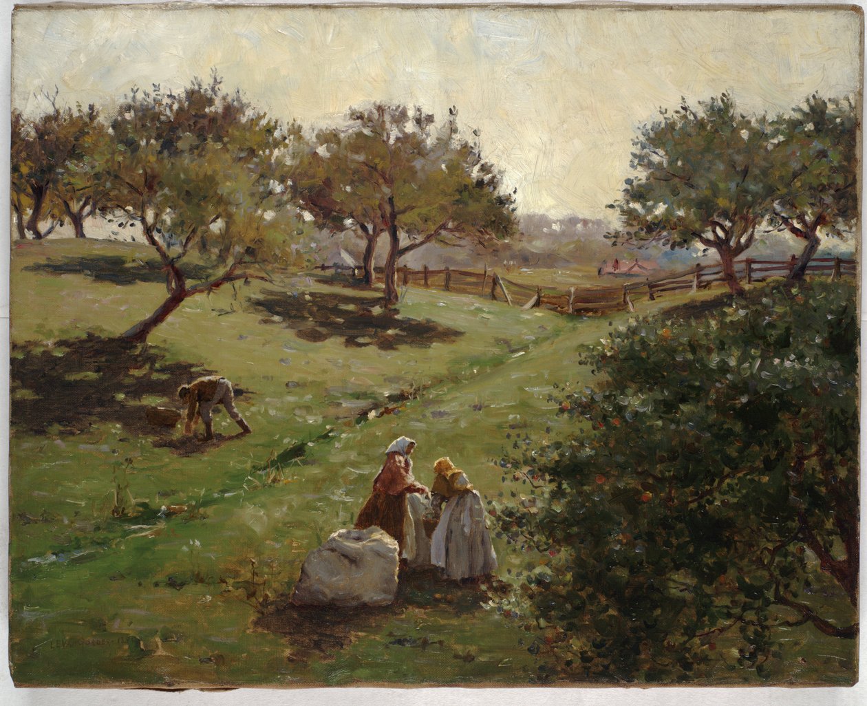Omenatarha, 1892 tekijältä Luther Emerson van Gorder