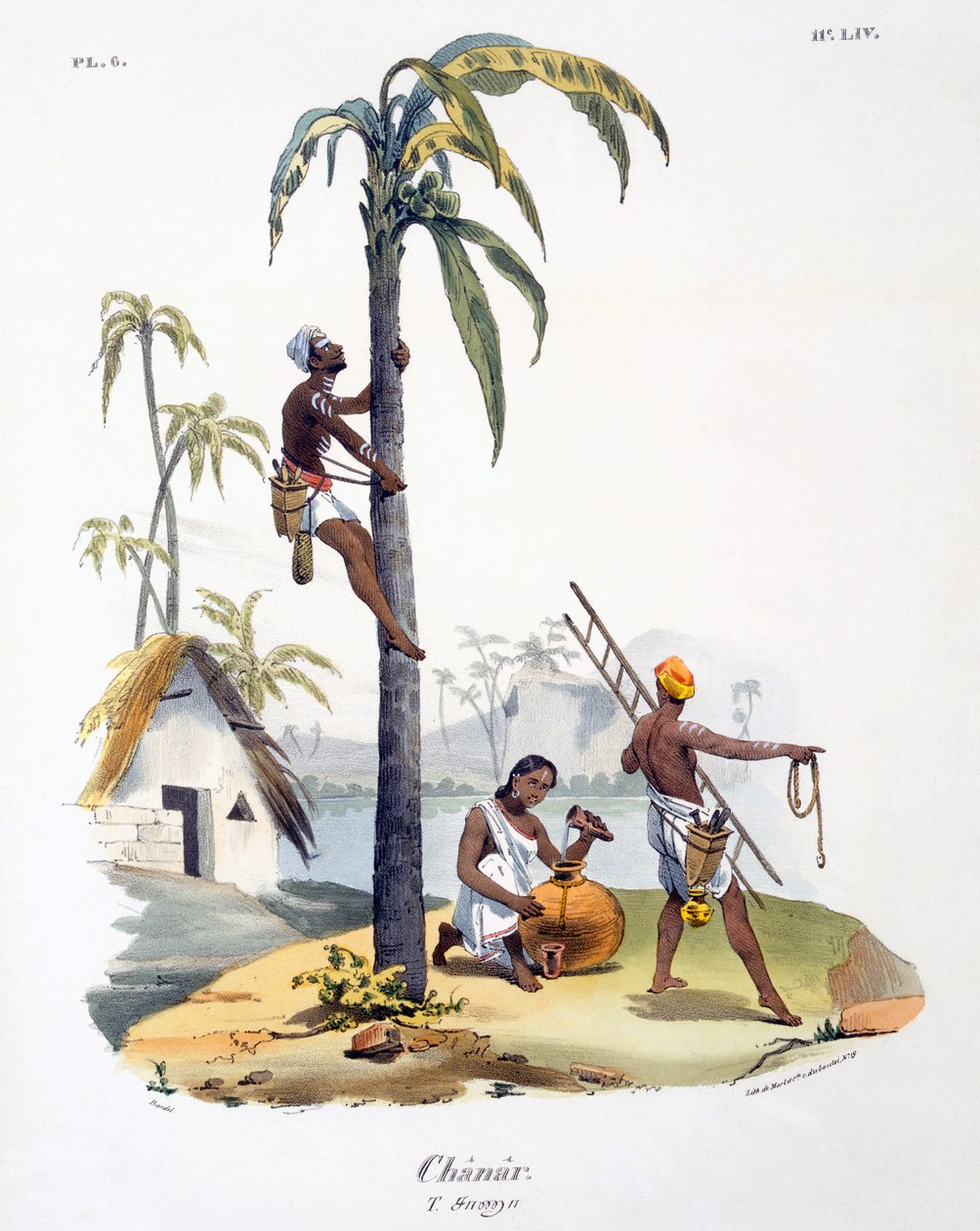 Nadar-kastiin kuuluva mies kiipeämässä palmuun, 1827-35. tekijältä M.E. Burnouf