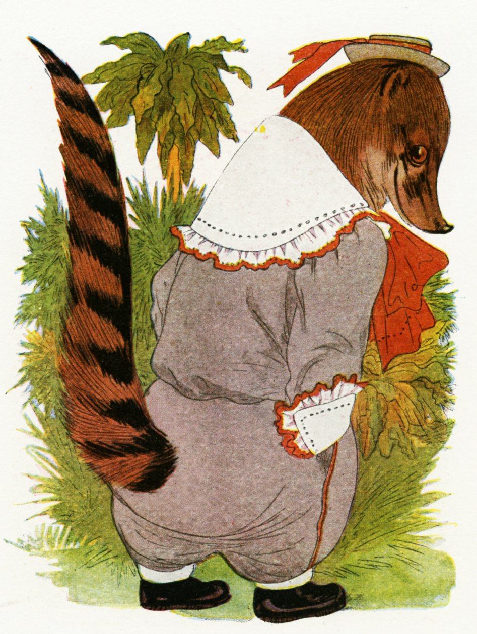 Coati, 1913 tekijältä Martin Ross