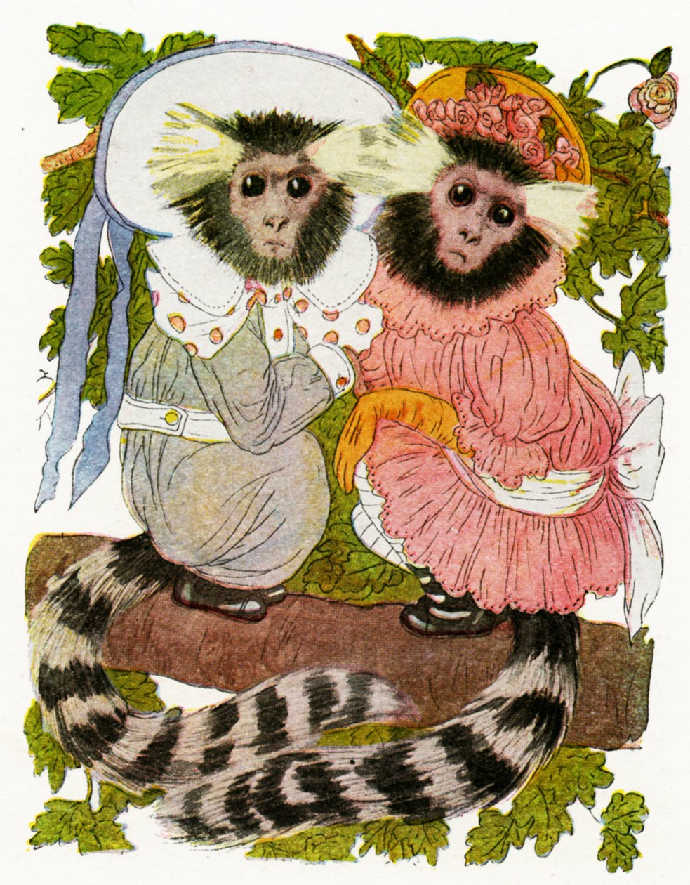 "The Marmoset Twins", 1913 tekijältä Martin Ross
