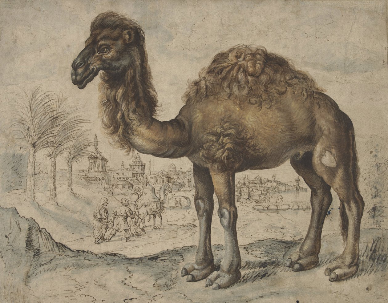 Dromedaari itäisessä maisemassa kaupungin kanssa, 1600 (muste ja sivellin paperille) tekijältä Maarten de after Vos