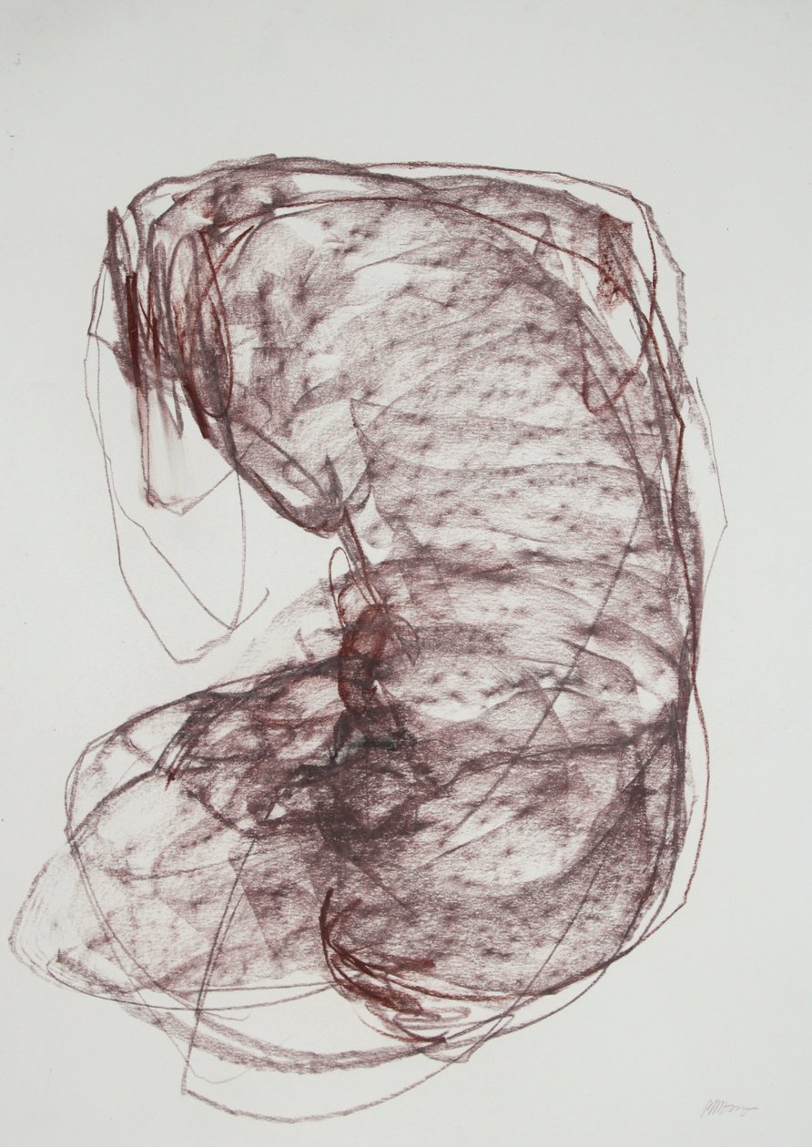 Torso 5, 2022 (hiili paperille) tekijältä Madgalena Morey