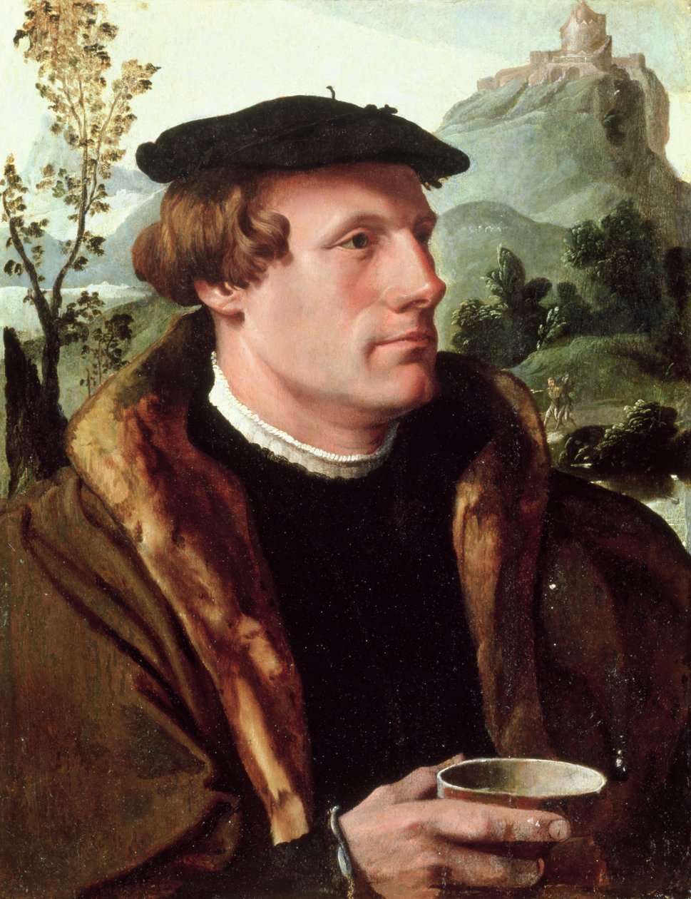 Gentlemanin muotokuva tekijältä Maerten van Heemskerck