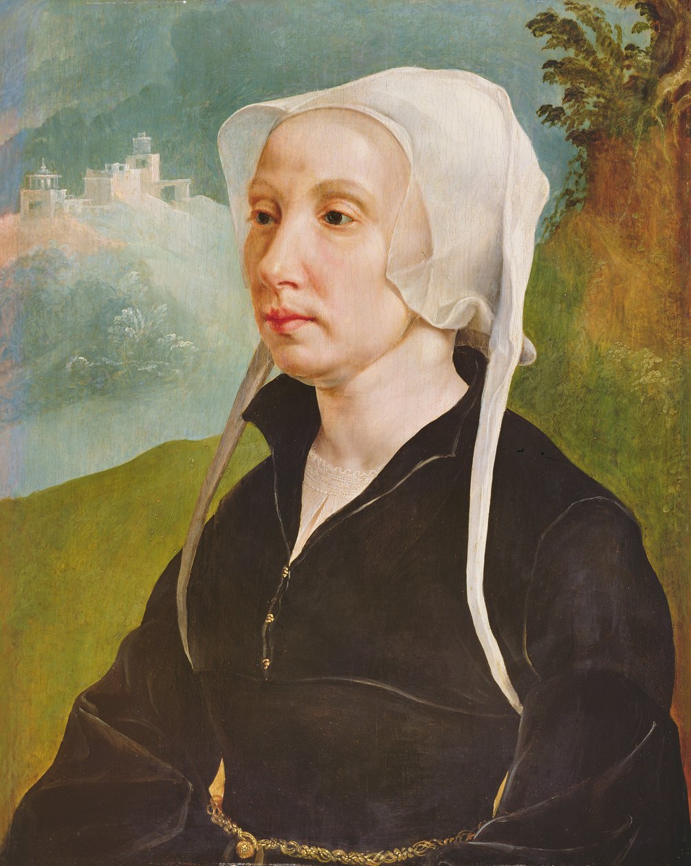 Naisen muotokuva (öljy paneelille) tekijältä Maerten van Heemskerck