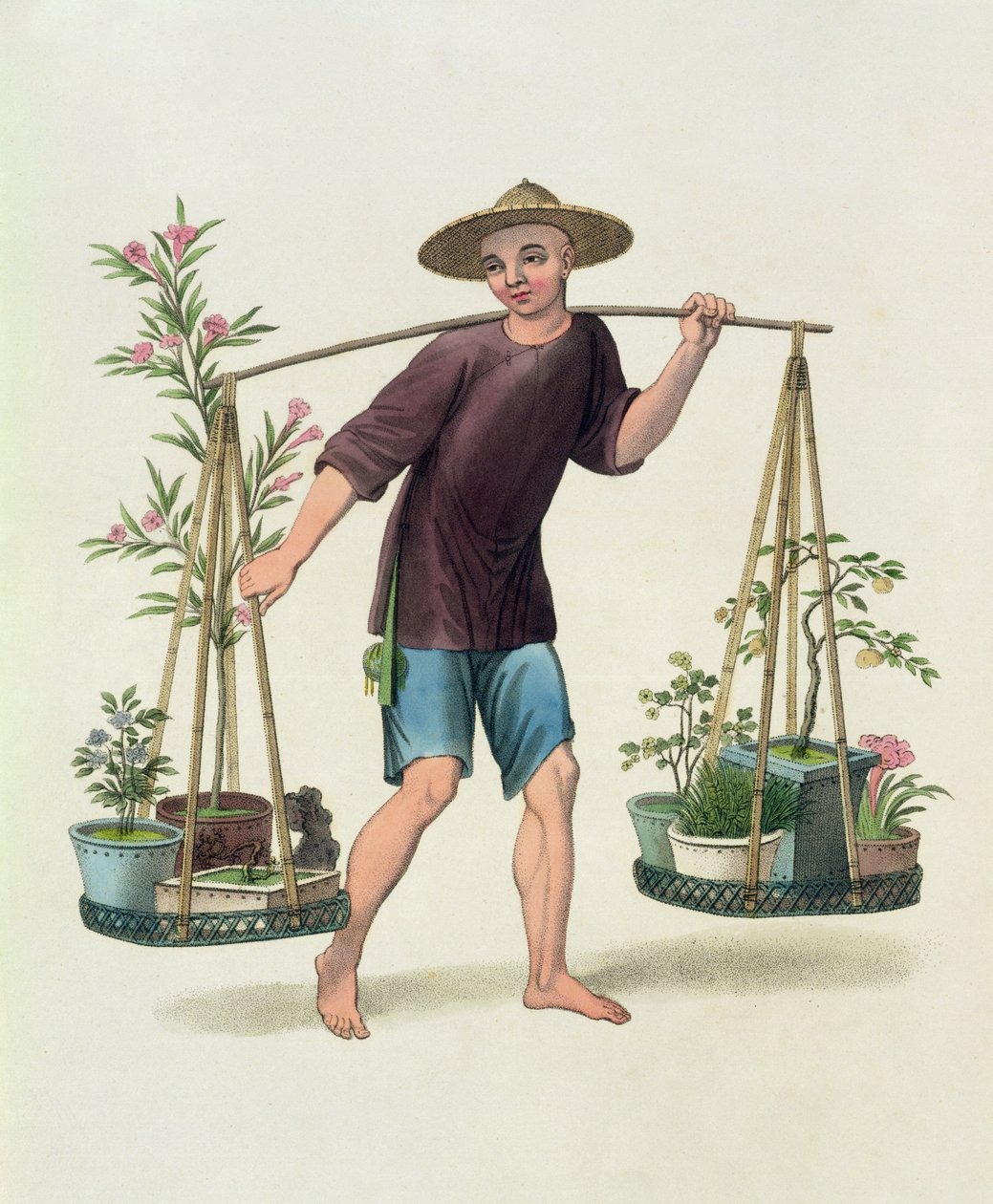 Portteri hedelmäpuilla ja kukilla, levy 16 teoksesta "The Costume of China", kaiverrettu J. Dadley, 1800 tekijältä Major George Henry Mason