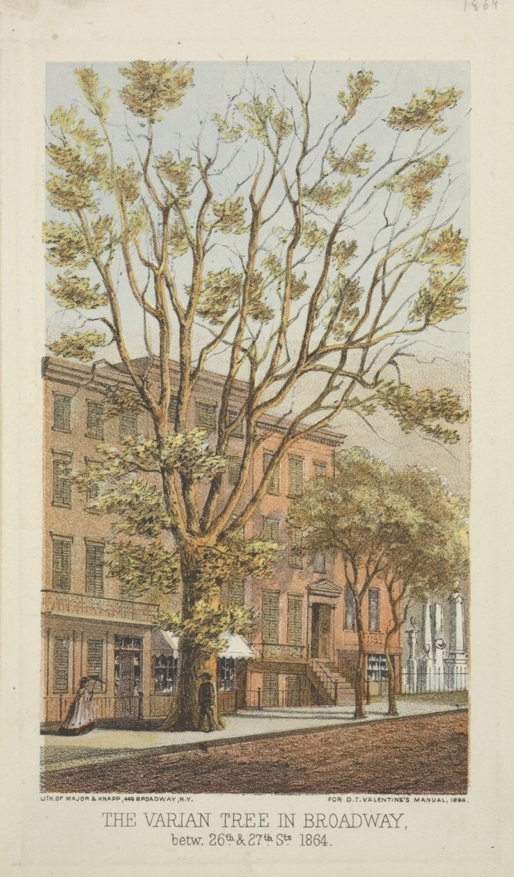 Varian Tree Broadwaylla, 26th ja 27th Streetin välissä, 1864 tekijältä Major and Knapp
