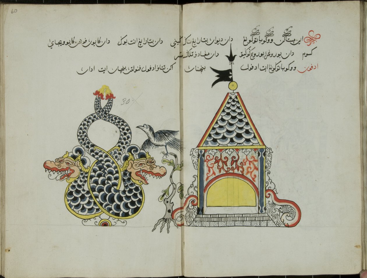 Kurkuma Java, MS 41 s. 60, nykyään 30, 1830 tekijältä Malay Malay