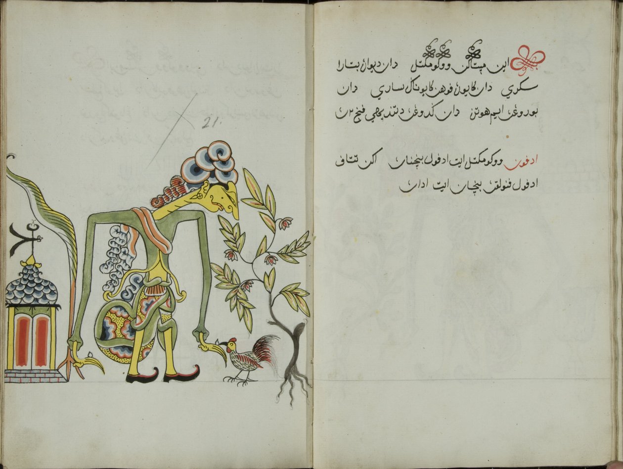 Kurkuma Java, MS 41 s. 42, kuva 21, 1830 tekijältä Malay Malay