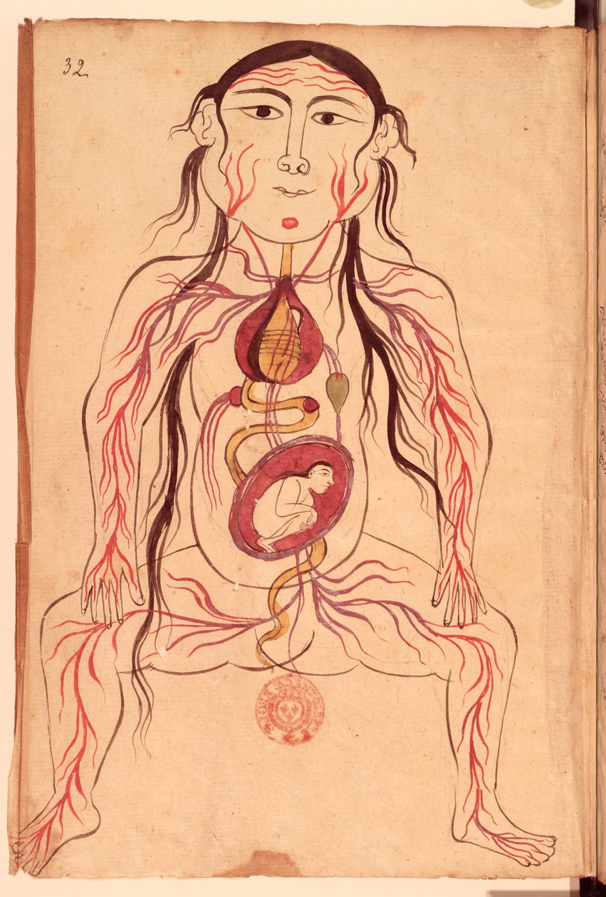 Ms Persan 151 Fol.32 Anatominen kaavio naisesta ja hänen sikiöstään tekijältä Mansour b. Eliyas Chirazi