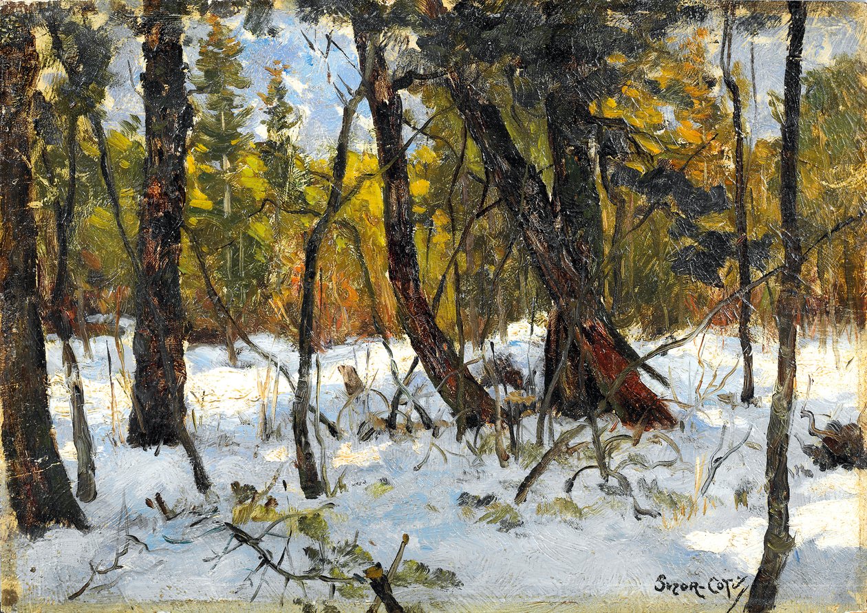 Metsä talvella (öljy paperille asetettu aluksella) tekijältä Marc Aurele de Roy Suzor Cote