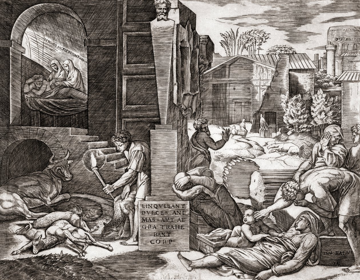 Rutto (kaiverrus) tekijältä Marcantonio (after) Raimondi