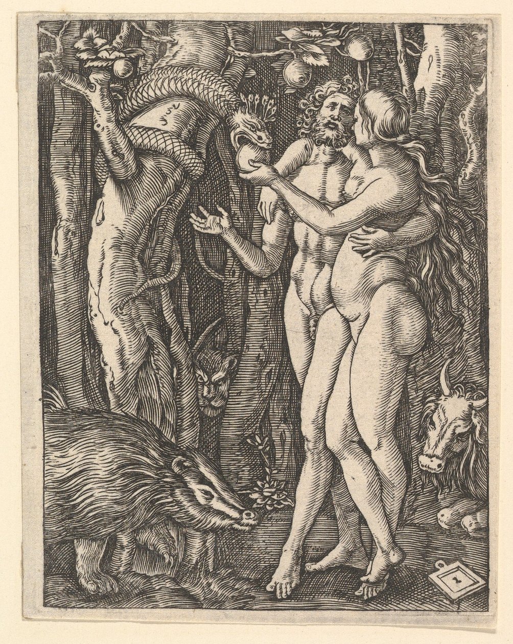 Aadam ja Eeva omenan ja käärmeen kanssa, n. 1500-1534. tekijältä Marcantonio Raimondi