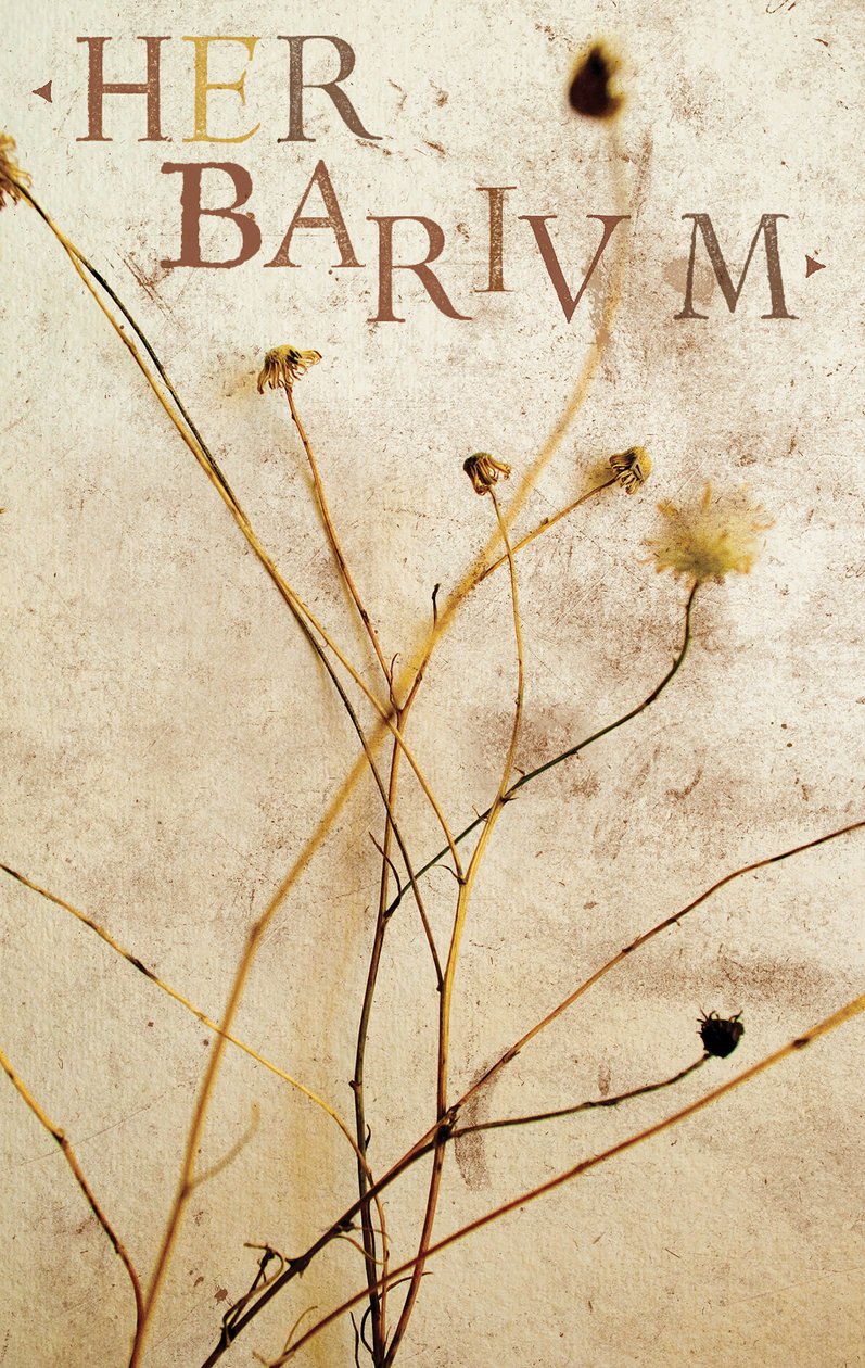 Herbarium, 2014 (sekatekniikka) tekijältä Marco Campedelli