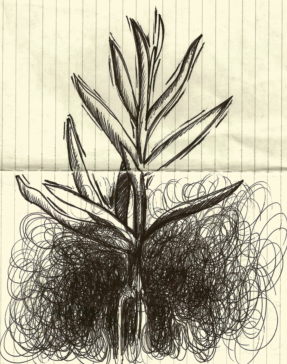 Kasvi, 2014 (muste paperille) tekijältä Marco Campedelli
