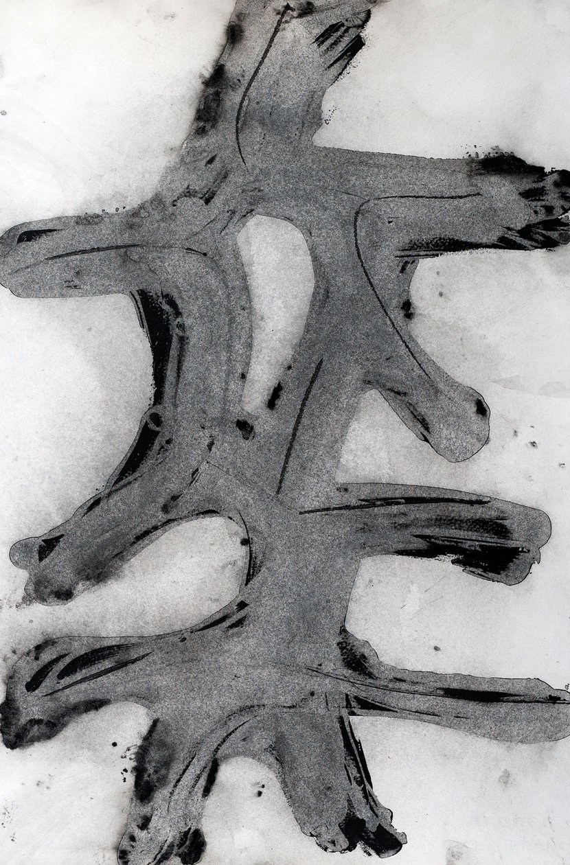 Ramas, 2014 (muste paperille) tekijältä Marco Campedelli