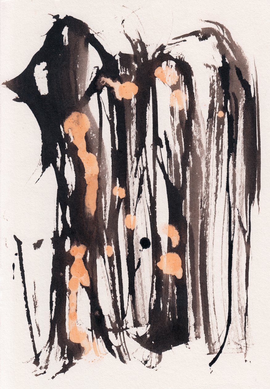 Wabi Sabi, 2018 (muste ja valkaisuaine paperille) tekijältä Marco Campedelli
