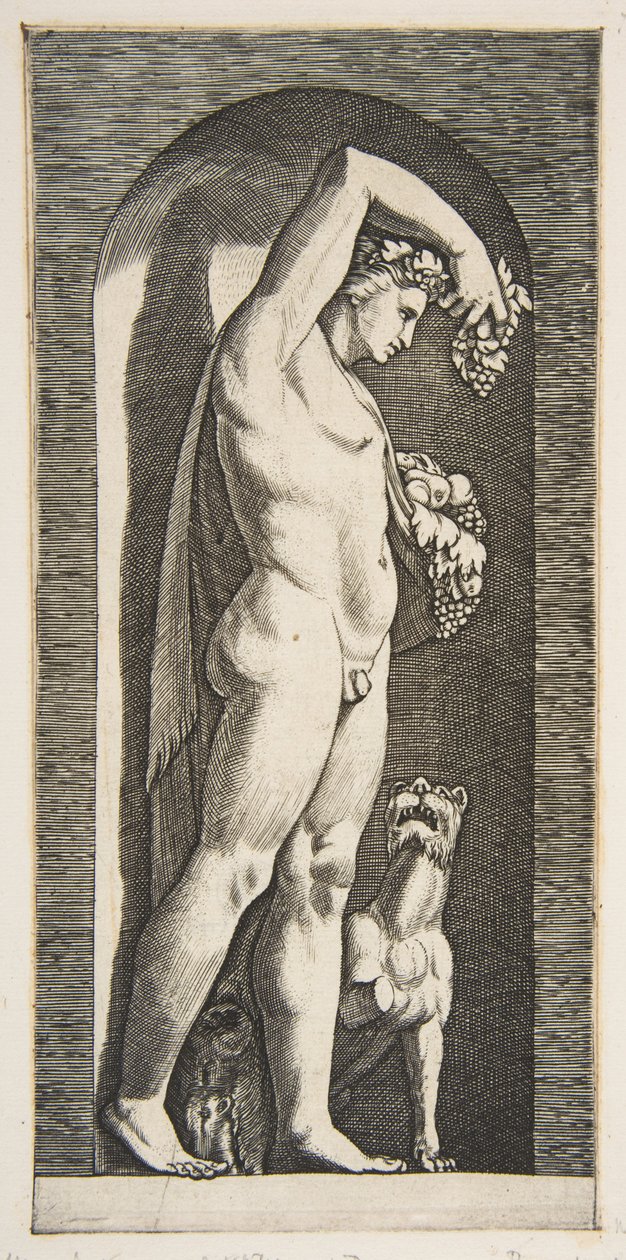 Bacchus seisoo nichessä pitäen viinirypäleitä kohotetussa oikeassa kädessään, hedelmää l..., n. 1515-27. tekijältä Marco Dente