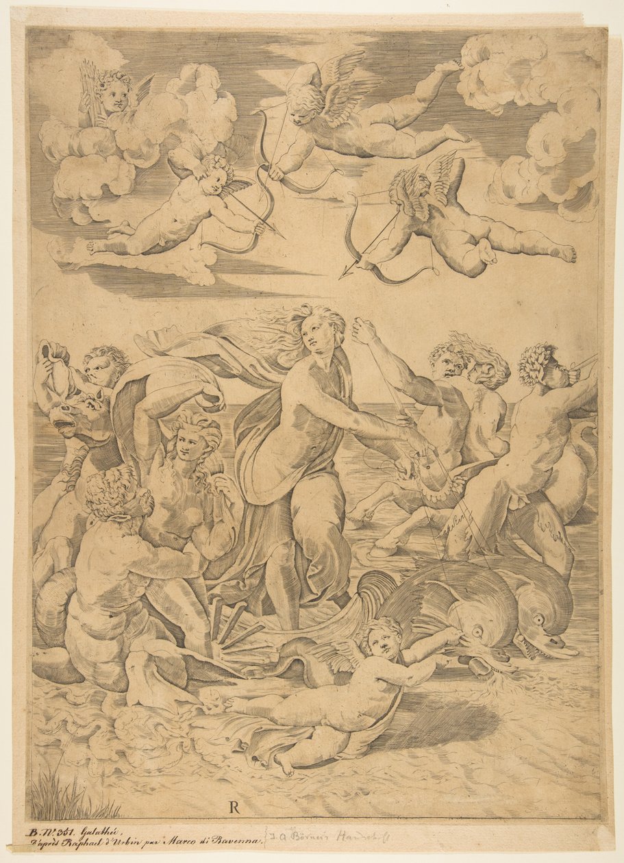 Galatea ratsastaa delfiinien vedessä vedessä, kupidon alla ja f..., n. 1515-27. tekijältä Marco Dente
